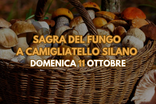 Sagra del Fungo a Camigliatello Silano 11 Ottobre
