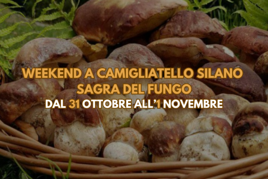 Weekend a Camigliatello Silano Sagra del Fungo dal 31 Ottobre all'1 Novembre