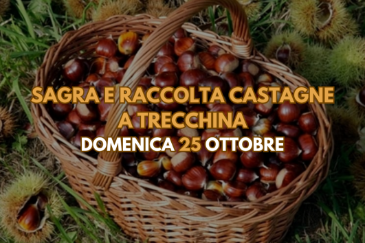 Sagra e raccolta castagne a Trecchina 25 Ottobre
